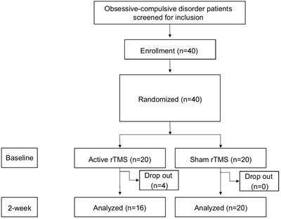 Neurotransmitter system gene variants as biomarkers for the therapeutic efficacy of rTMS and SSRIs in obsessive-compulsive disorder